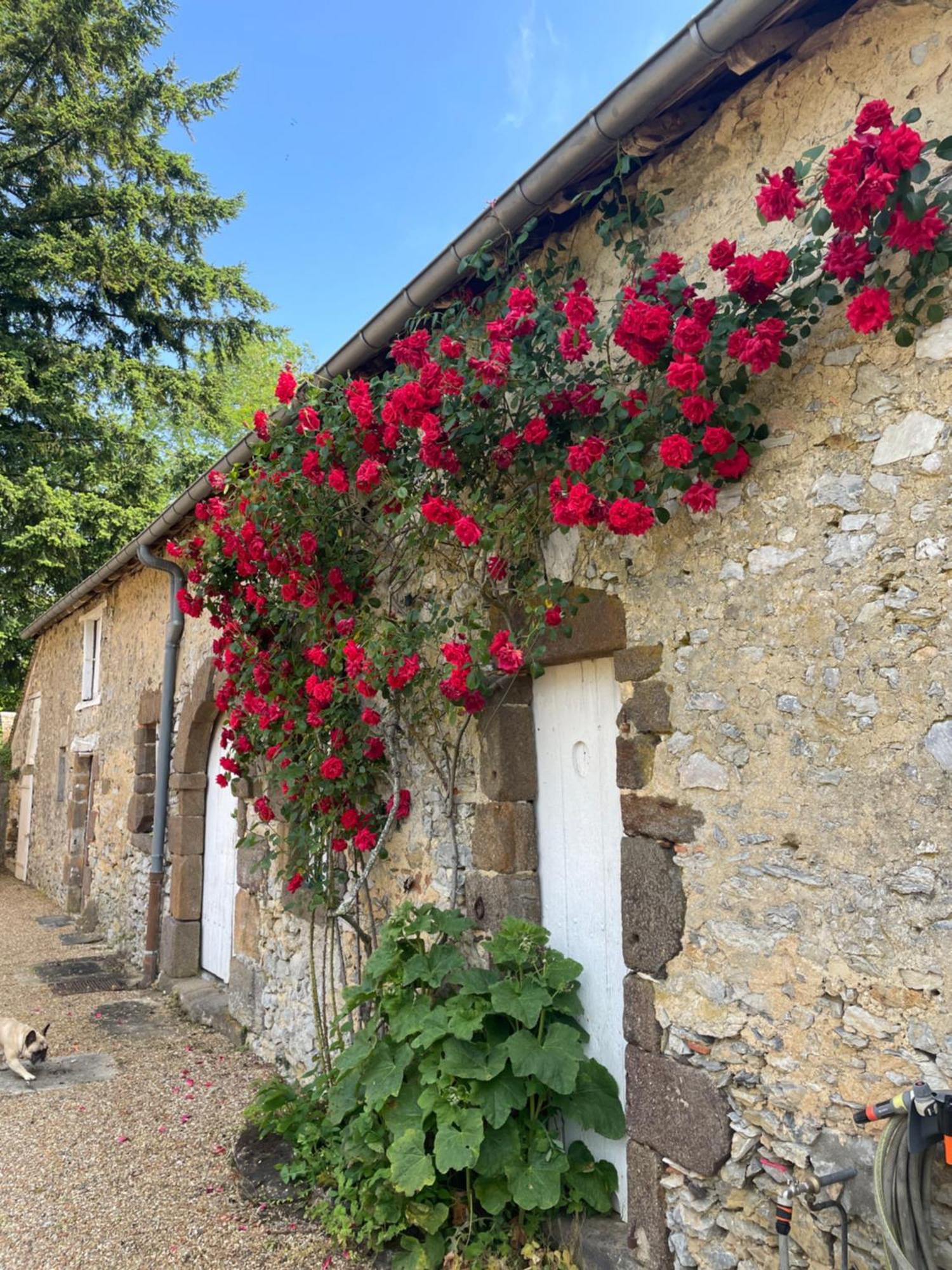 Le Clos De Paris Fresnay-sur-Sarthe Exterior photo